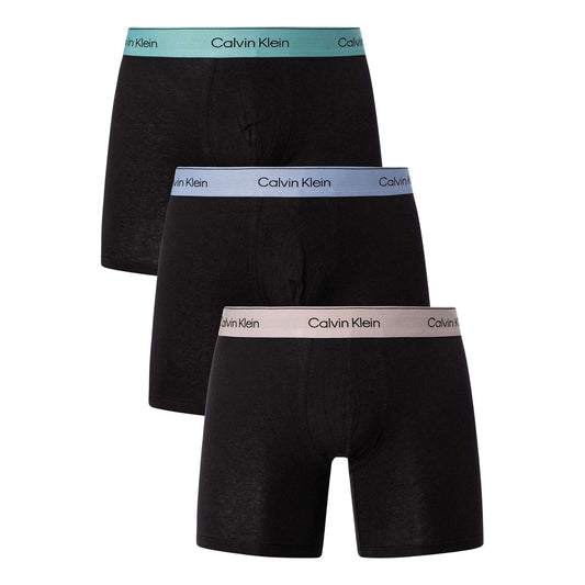 Calvin Klein Brief Boxershorts (3-pack) Black (000NB3964A-U2Y) Men