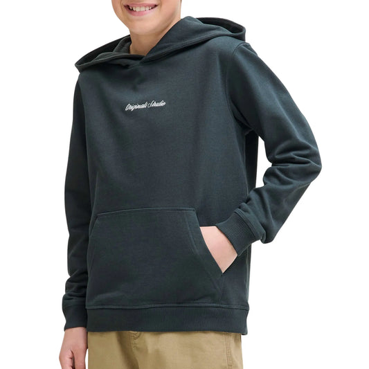 Jack & Jones Norrebro Emb Sweat Hoody (12284062-FORESTRIVER) Kids