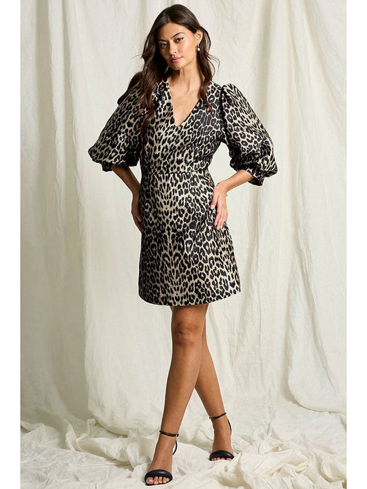 Joelle Dress Brown / Beige Women