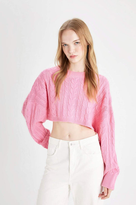 DeFacto Regular Fit Crop Crew Neck Hair Braided Knitwear Sweater Pink Women