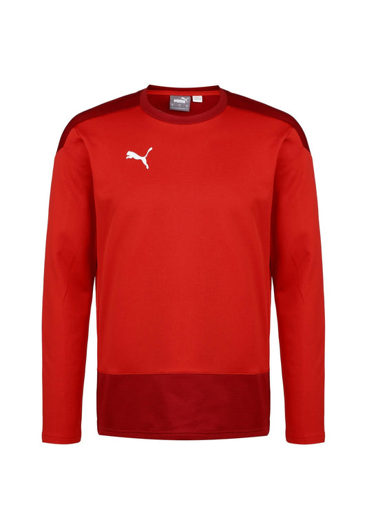 Puma teamGOAL 23 Trainingssweat Men Red (PU142G08F-G11) Men