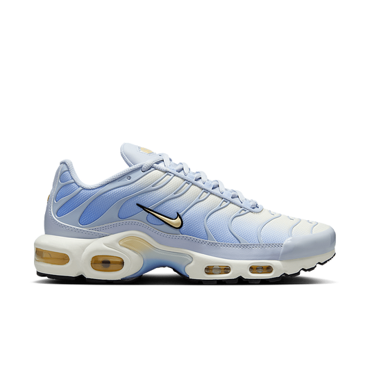 Nike Air Max Plus Daybreak (DZ3670-004) Women