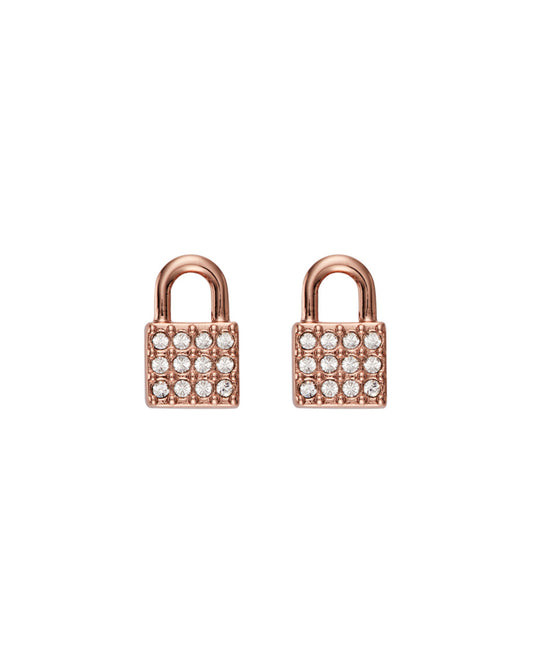 Dkny Earrings (5520121) Women