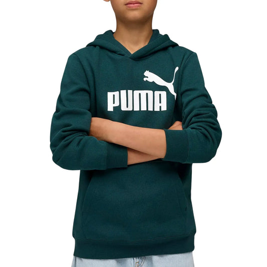 Puma ESS No. 1 Logo Fleece Hoody (684908-75) Kids