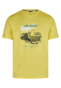 Hechter Paris T-Shirt Print Lemon (75017-131929-120) Men