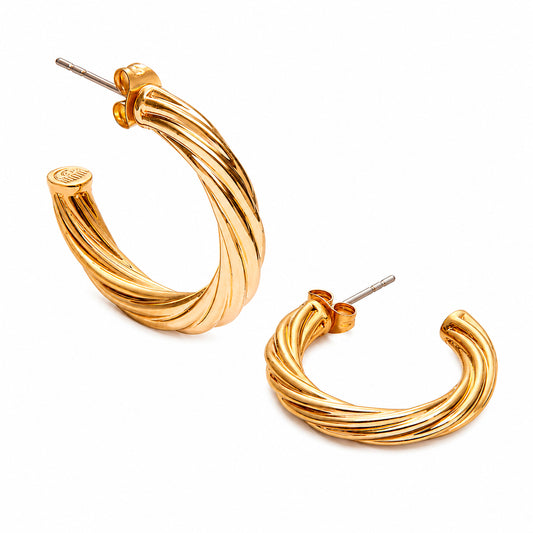 Chiara Ferragni Earrings (J19AXP11) Women