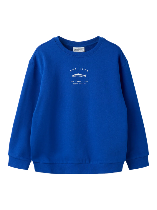 Haddian Long Sleeve Rlx Swe Surf The Web (13259801) Kids