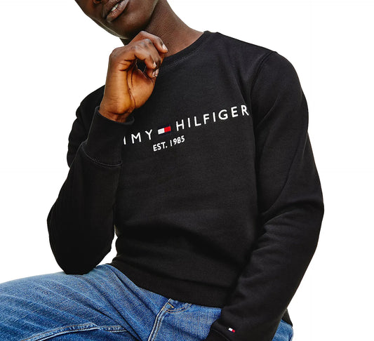 Tommy Hilfiger Sweater (MW0MW11596-BDS) Men
