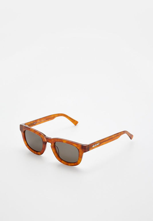 CEDAR - SIESTA - WITH CLASSICAL LENSES Men