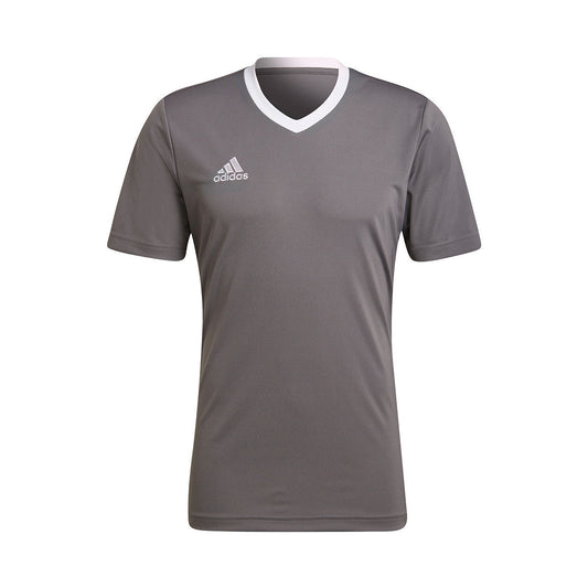 adidas Entrada 22 m/c Grey Four (H57499) Kids