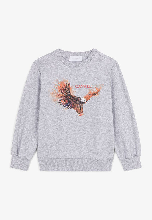 Roberto Cavalli Junior b crewneck sweatshirt eagle grey (ZZO1RD1BI-C00) Kids
