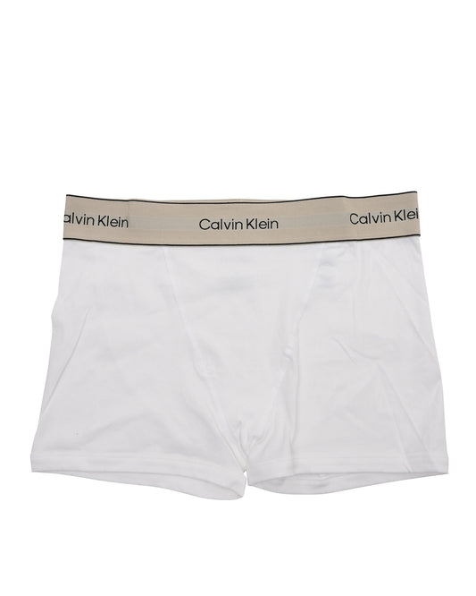Calvin Klein Womens Underwear Bottom LV00QF8371100 White