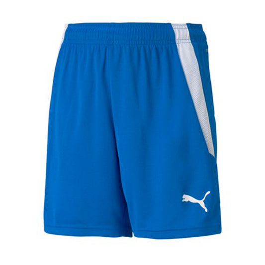 Puma Shorts teamLIGA (704931) Kids