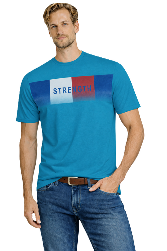 JUMPER T-SHIRT T-shirt Men's Blue (9142) Men