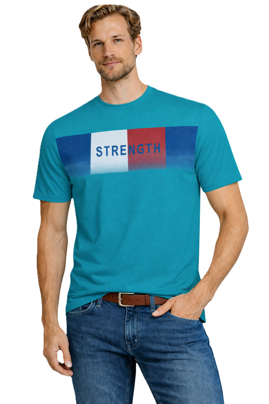 JUMPER T-SHIRT T-shirt Men's Turquoise (9140) Men