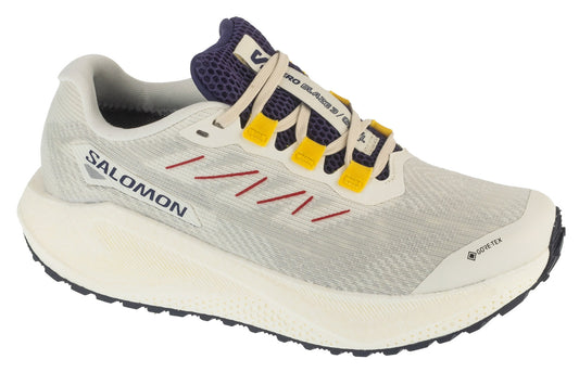 Salomon Aero Blaze 3 Grvl GTX W L47974100 Women
