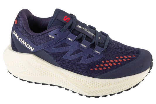 Salomon Aero Glide 3 GRVL L47870600 Women