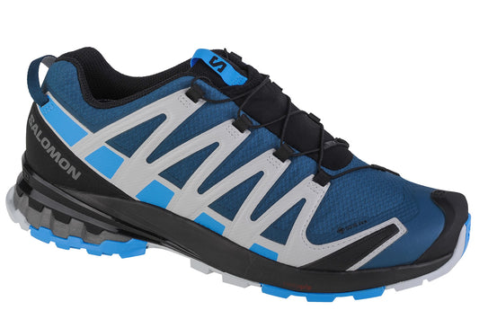 Salomon XA Pro 3D v8 GTX 416292 Men