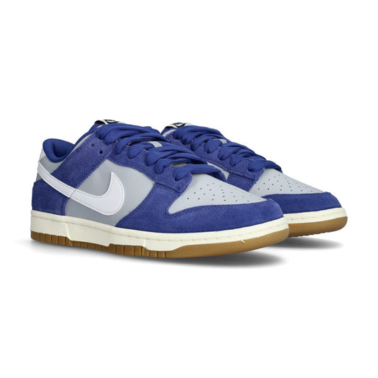 Nike Dunk Low Retro SE Wolf Grey (IB6399-003) Unisex